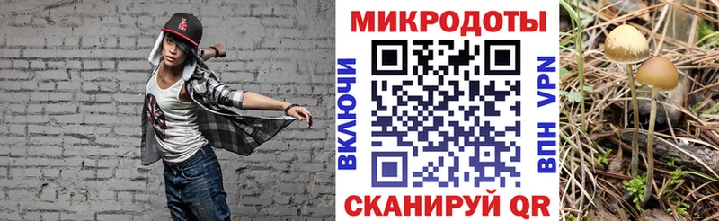 Галлюциногенные грибы прущие грибы Рузаевка