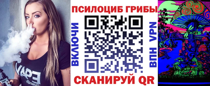 где найти наркотики  Рузаевка  Псилоцибиновые грибы Psilocybine cubensis 